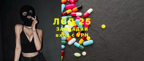 индика Богданович