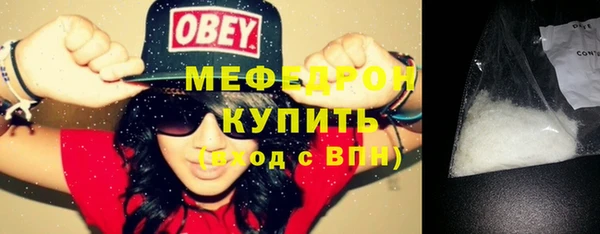индика Богданович