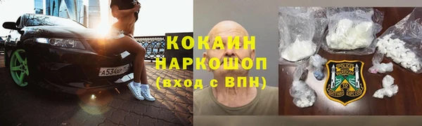 молекула духа Богородицк