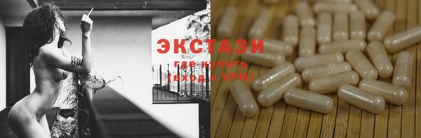 молекула духа Богородицк