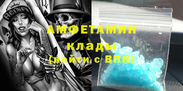 молекула духа Богородицк