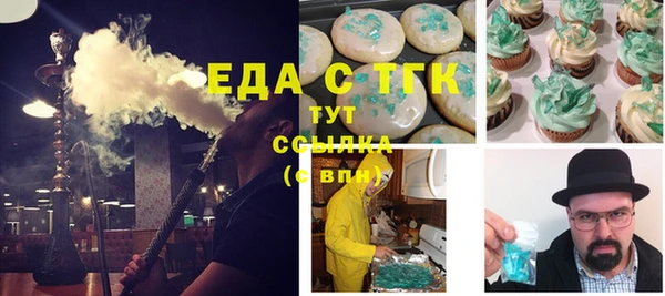 индика Богданович