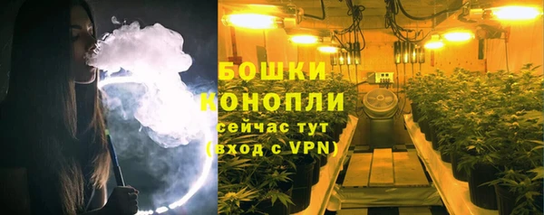 молекула духа Богородицк