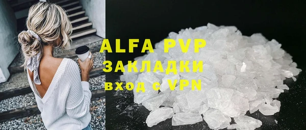 индика Богданович