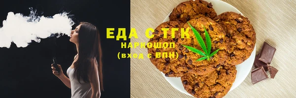 индика Богданович