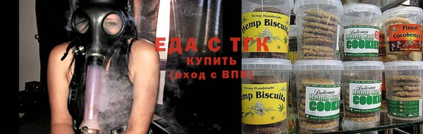 индика Богданович
