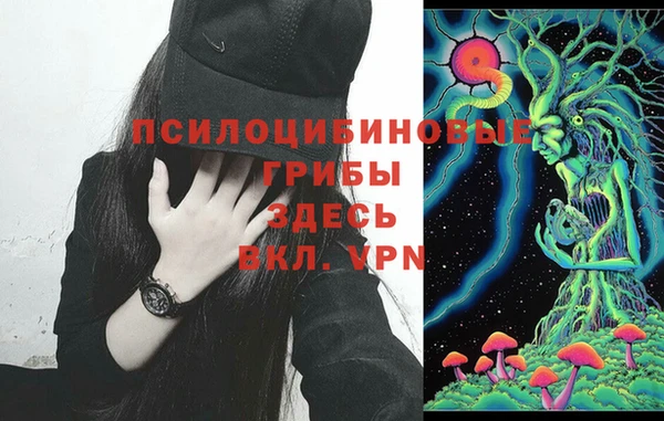 дурь Белокуриха