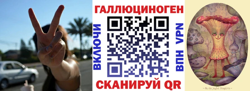 Псилоцибиновые грибы Magic Shrooms  mega ТОР  Горно-Алтайск 