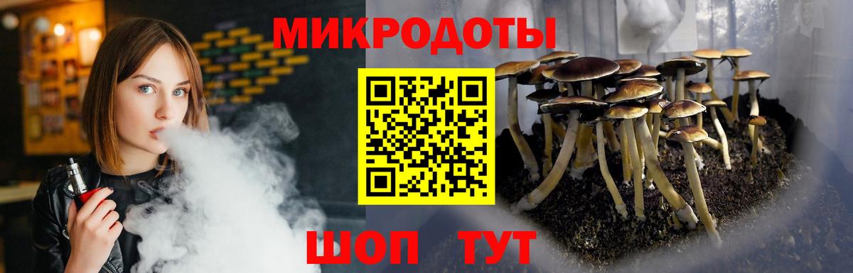 Горно-Алтайск  Псилоцибиновые грибы ЛСД  Вход с VPN 
