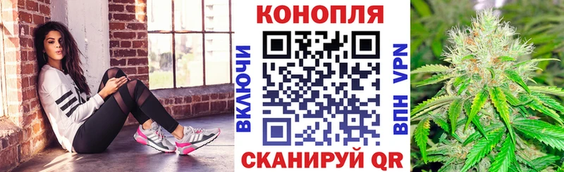 наркошоп  Горно-Алтайск  Шишки марихуана индика 